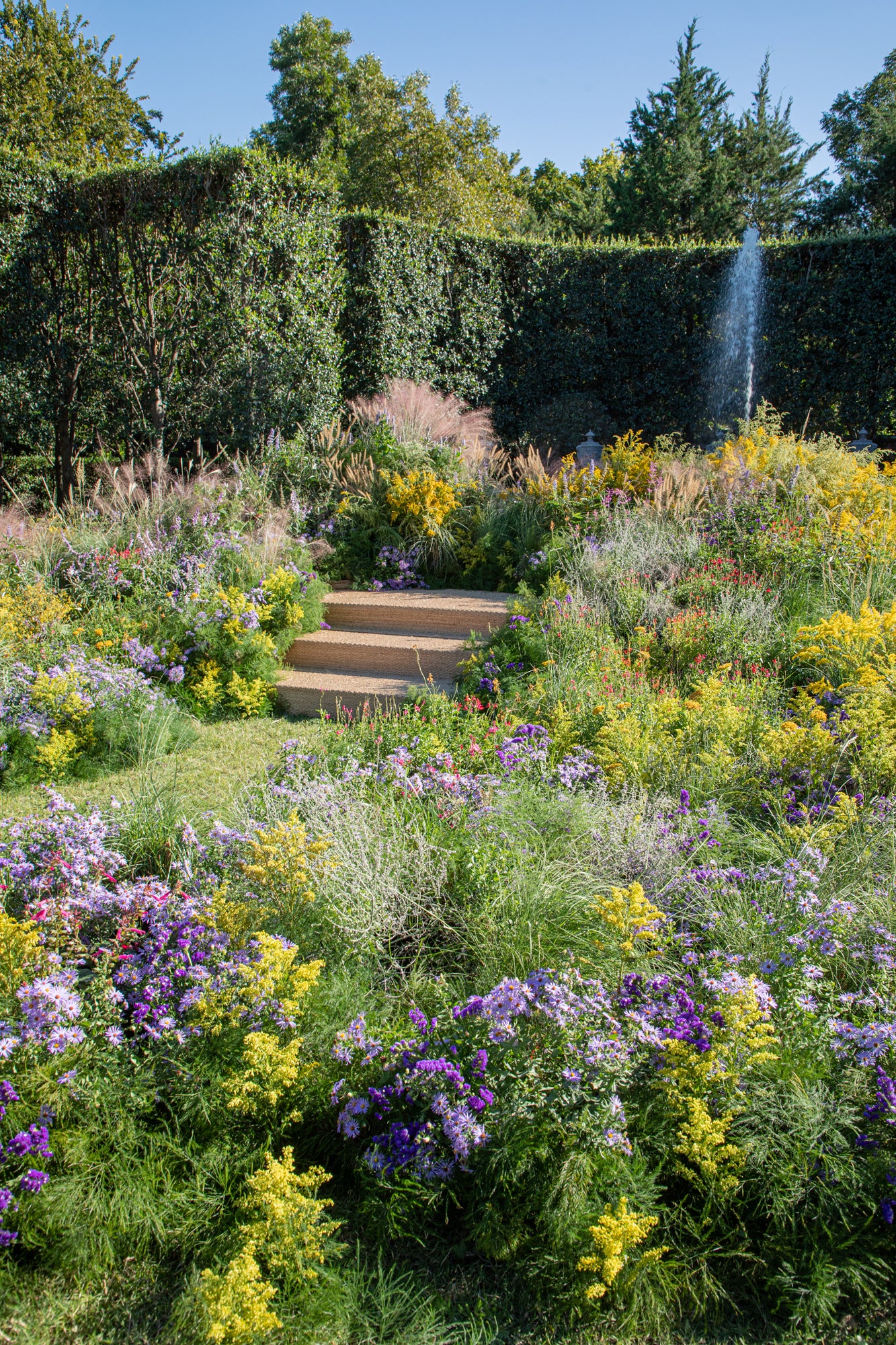 Lush garden path for wedding ceremony with stone steps winding through vibrant purple and yellow wildflowers, leading to a tall hedge enclosure with a fountain feature, all framed by trees against a blue sky.