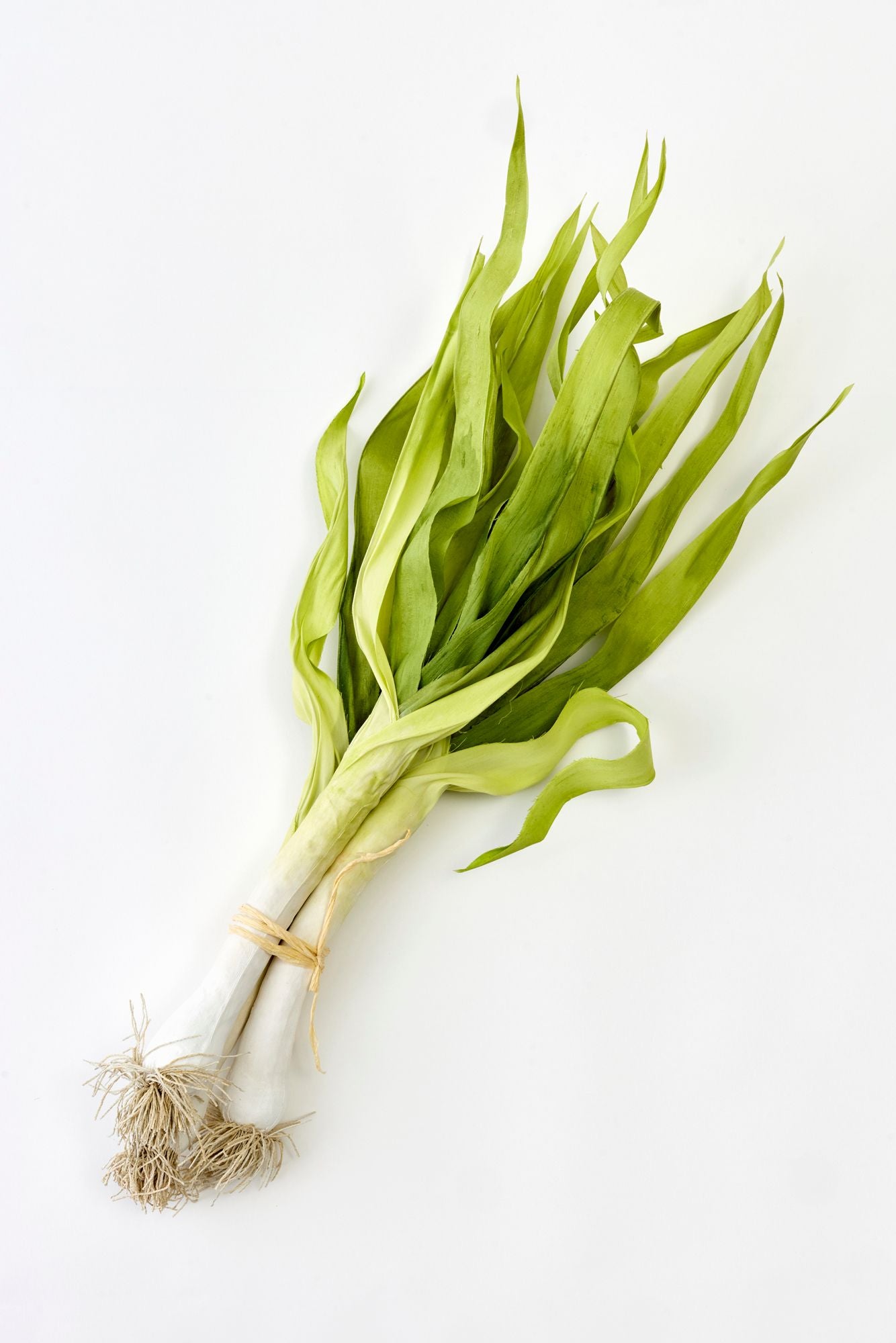 Bunch of silk green onions on a white background