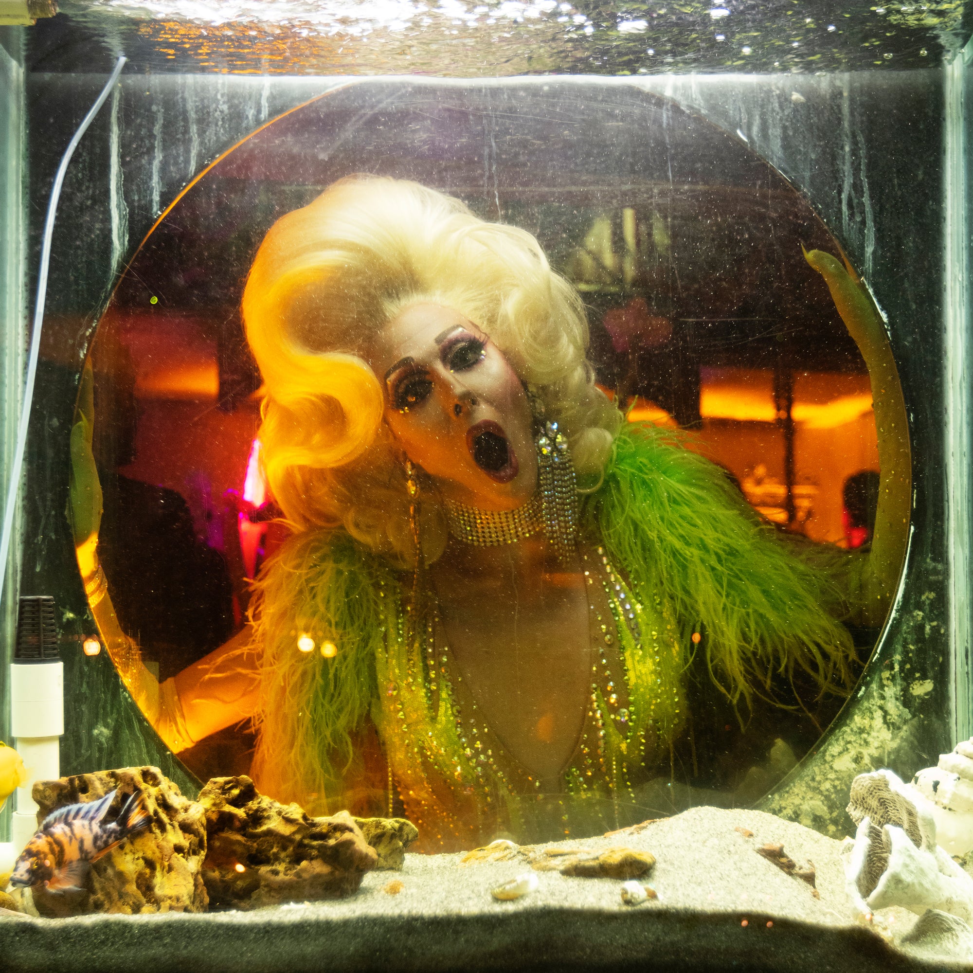 A woman dressed in drag and shining jewelry peers through a fish bowl.
