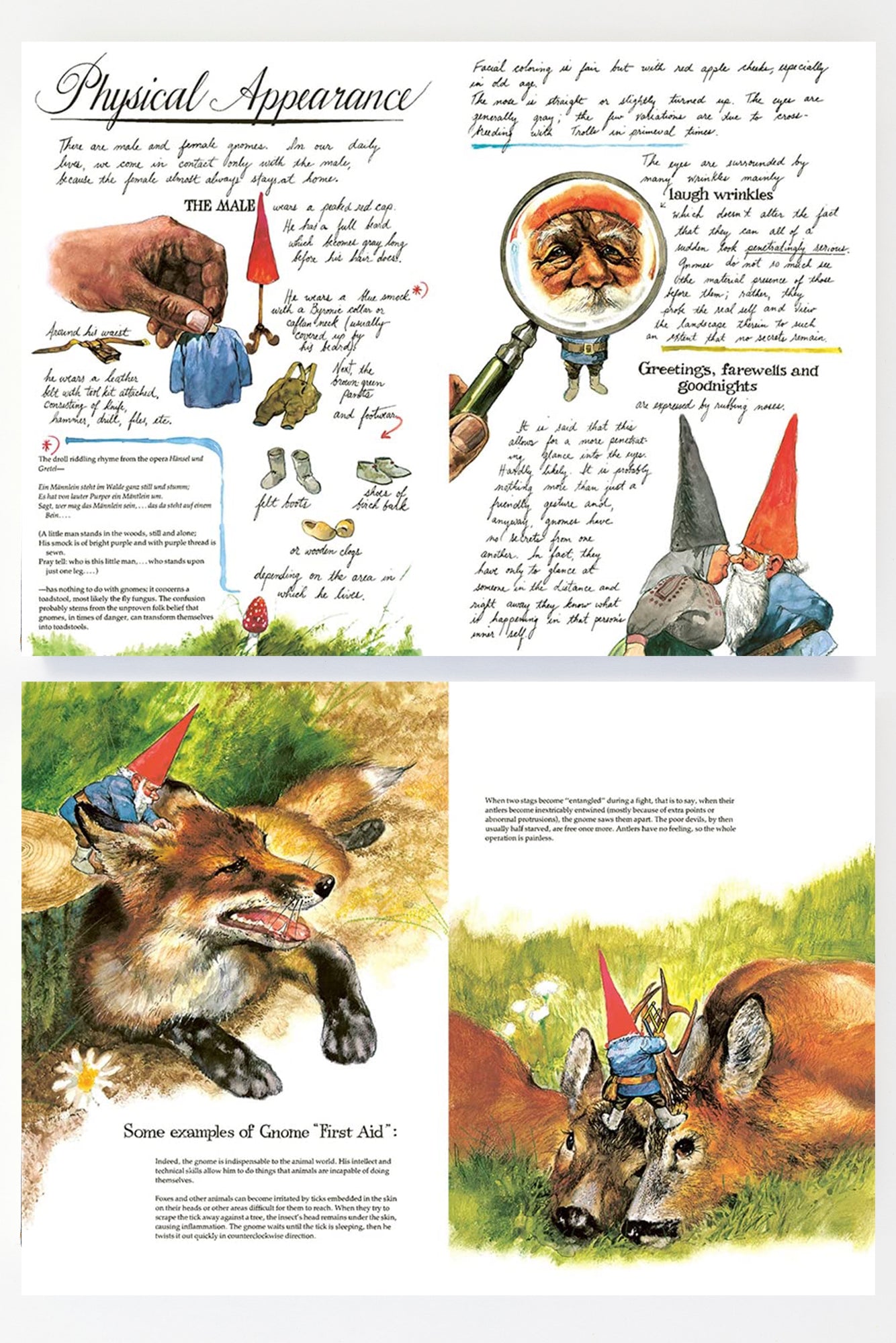 This charmingly illustrated book explains the life and habitat of gnomes with an in-universe spirit, much like a nonfictional, biology book would do, complete with illustrations (boobies!) and textbook notes