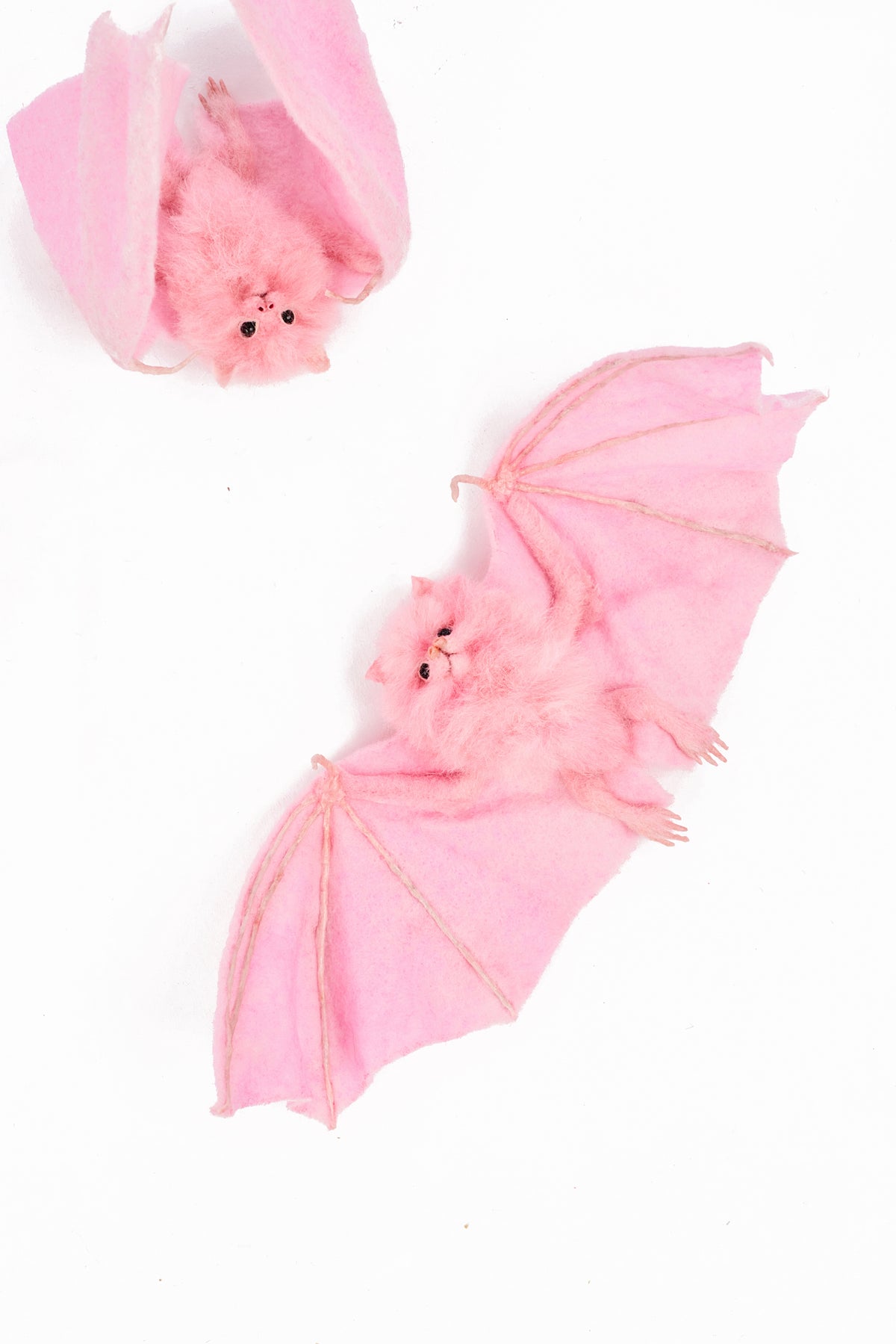 Set of 2 fuzzy pink bats scattered across a white backdrop, some cocooning, some with spread wings.