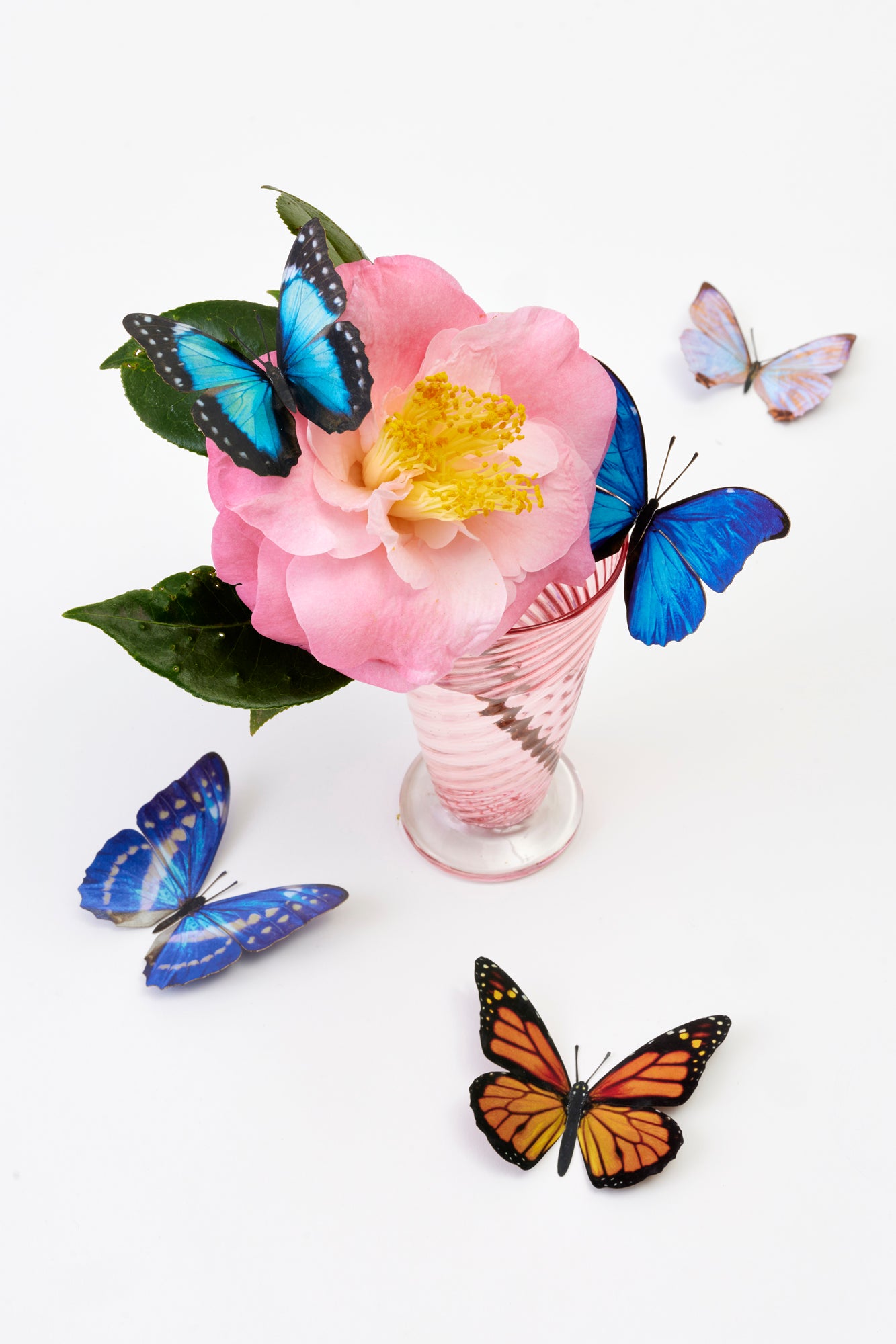 Paper butterfiles.
