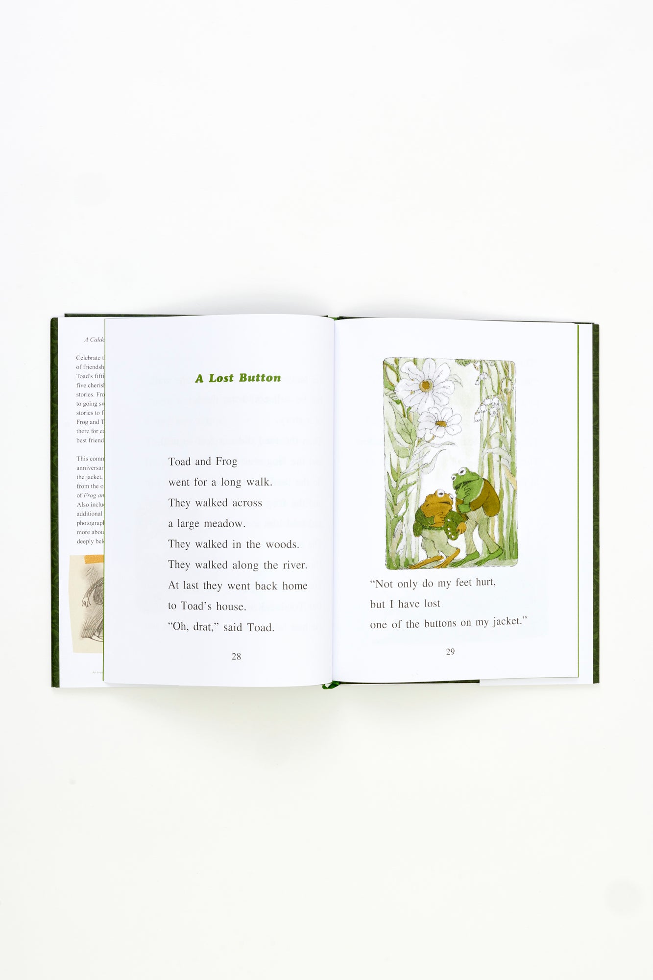 FROG AND TOAD ARE FRIENDS book.