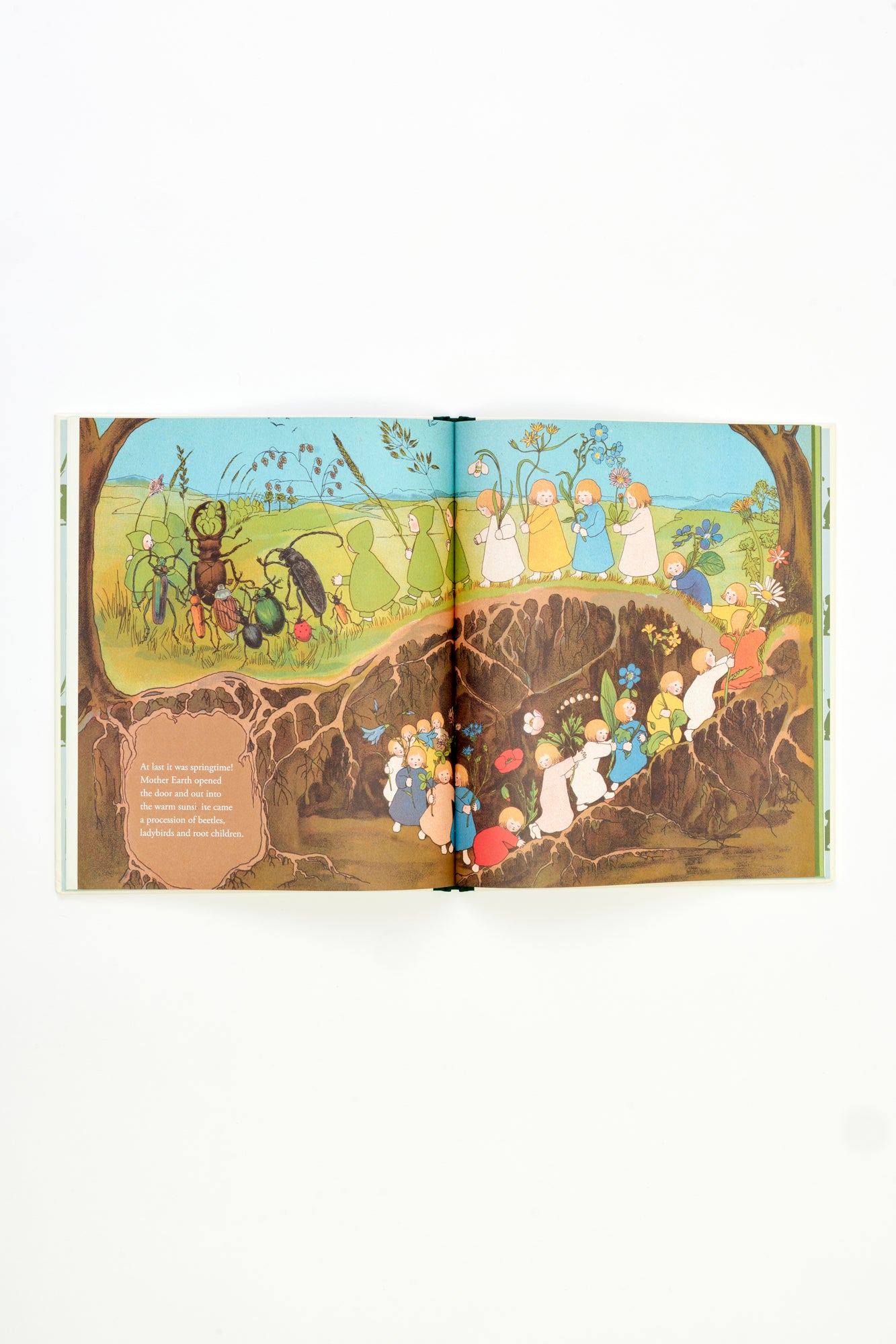 THE STORY OF THE ROOT CHILDREN book.