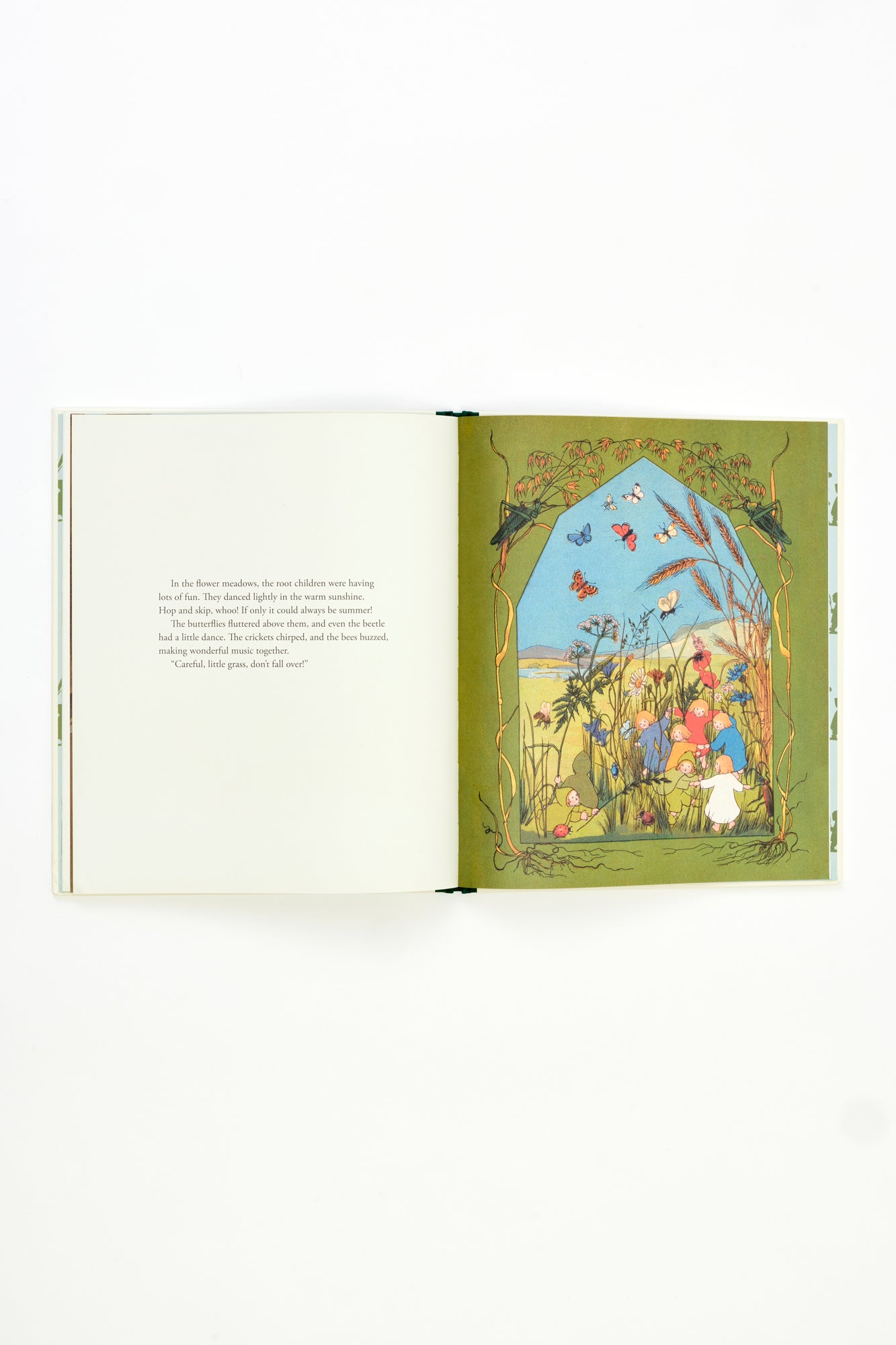THE STORY OF THE ROOT CHILDREN book.