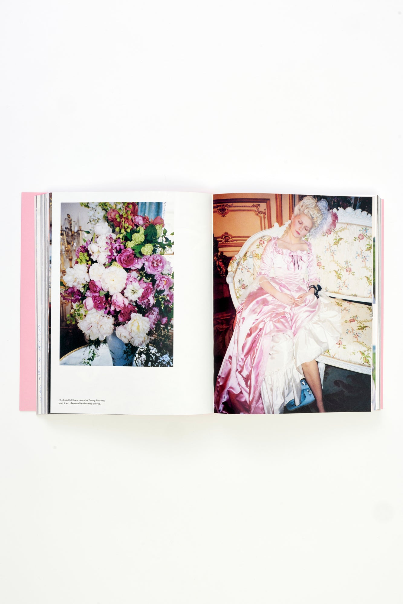 Book of Sophia Coppola's archival work.