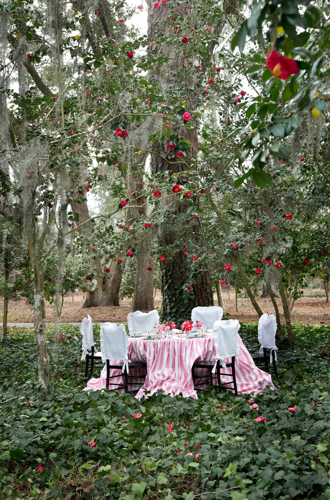 Outdoor setting with a table and chairs under a canopy of trees with red flowers.