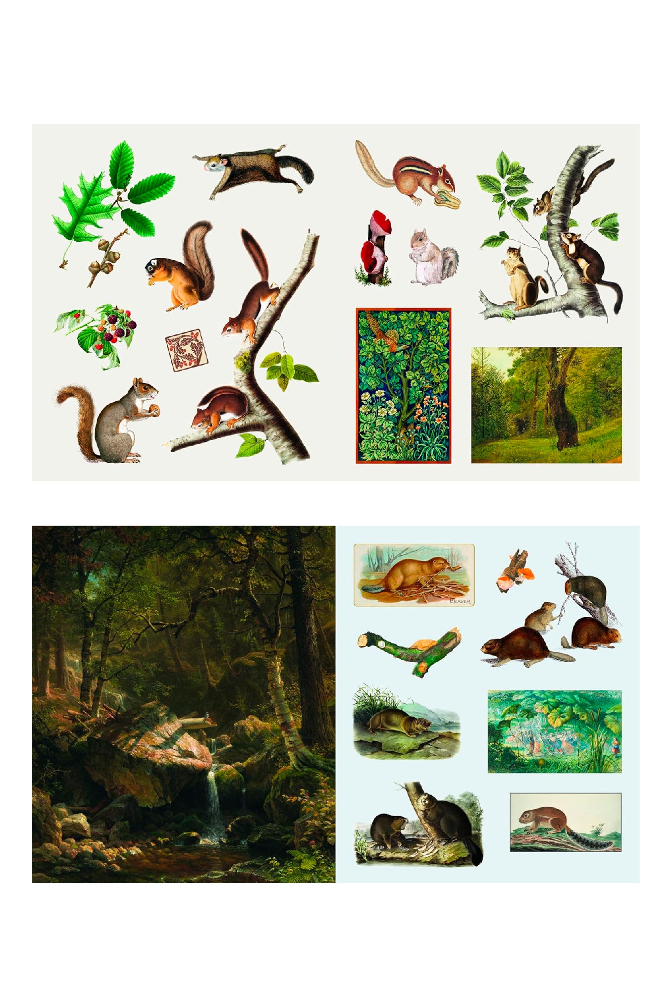 STICKER TREASURY OF WOODLAND ADVENTURES