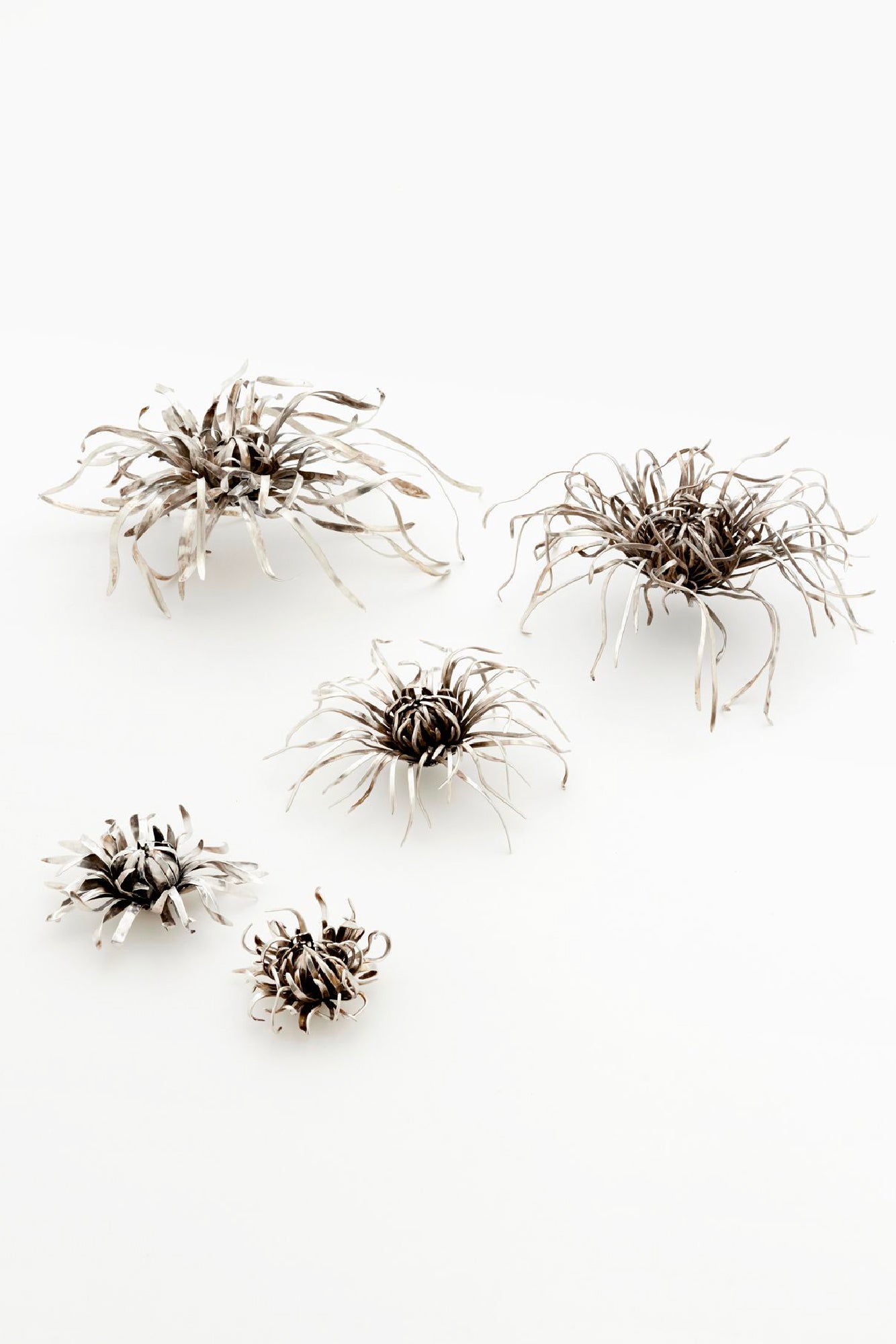 Five silver mum sculptures on a white background