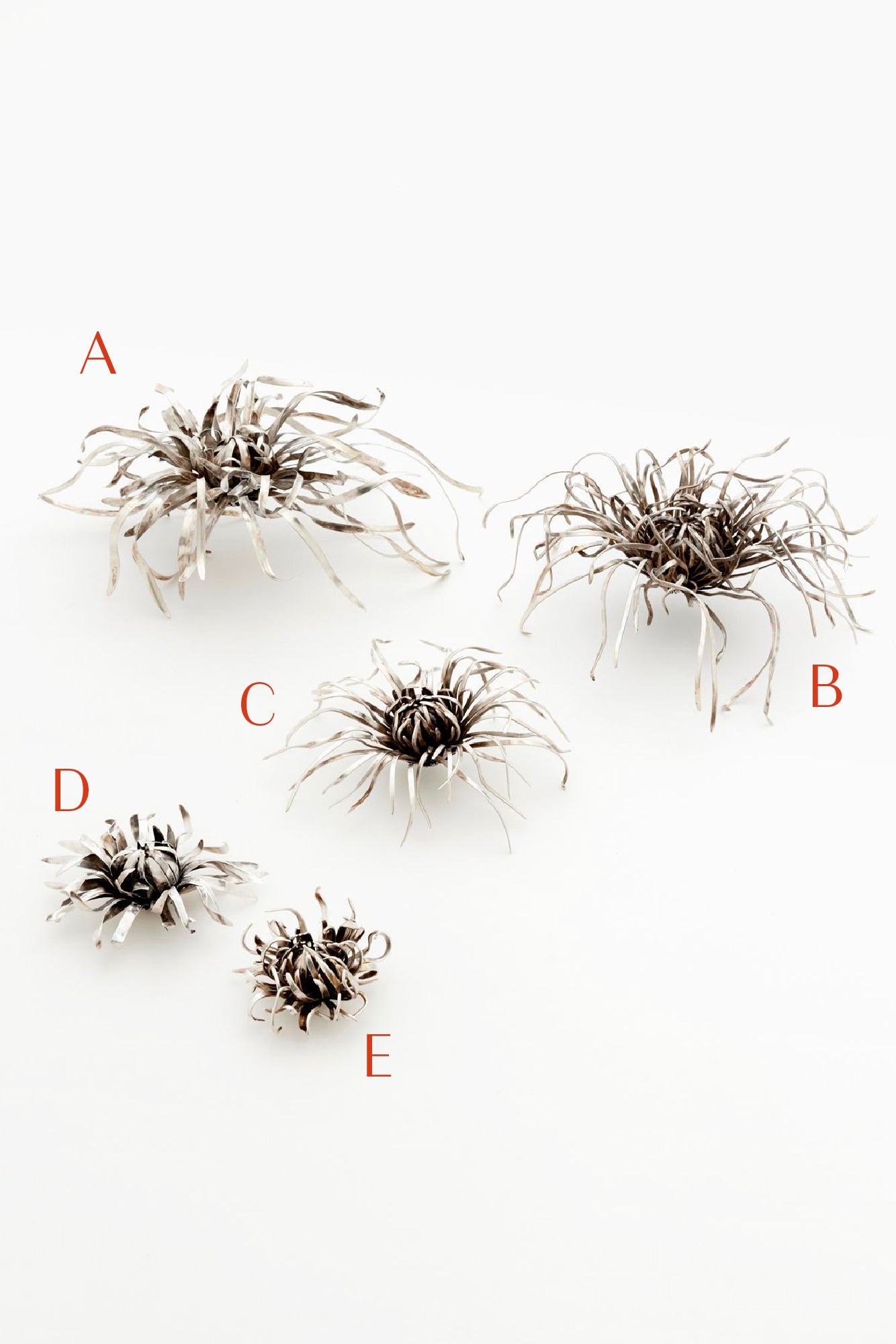 Five silver mum sculptures on a white background