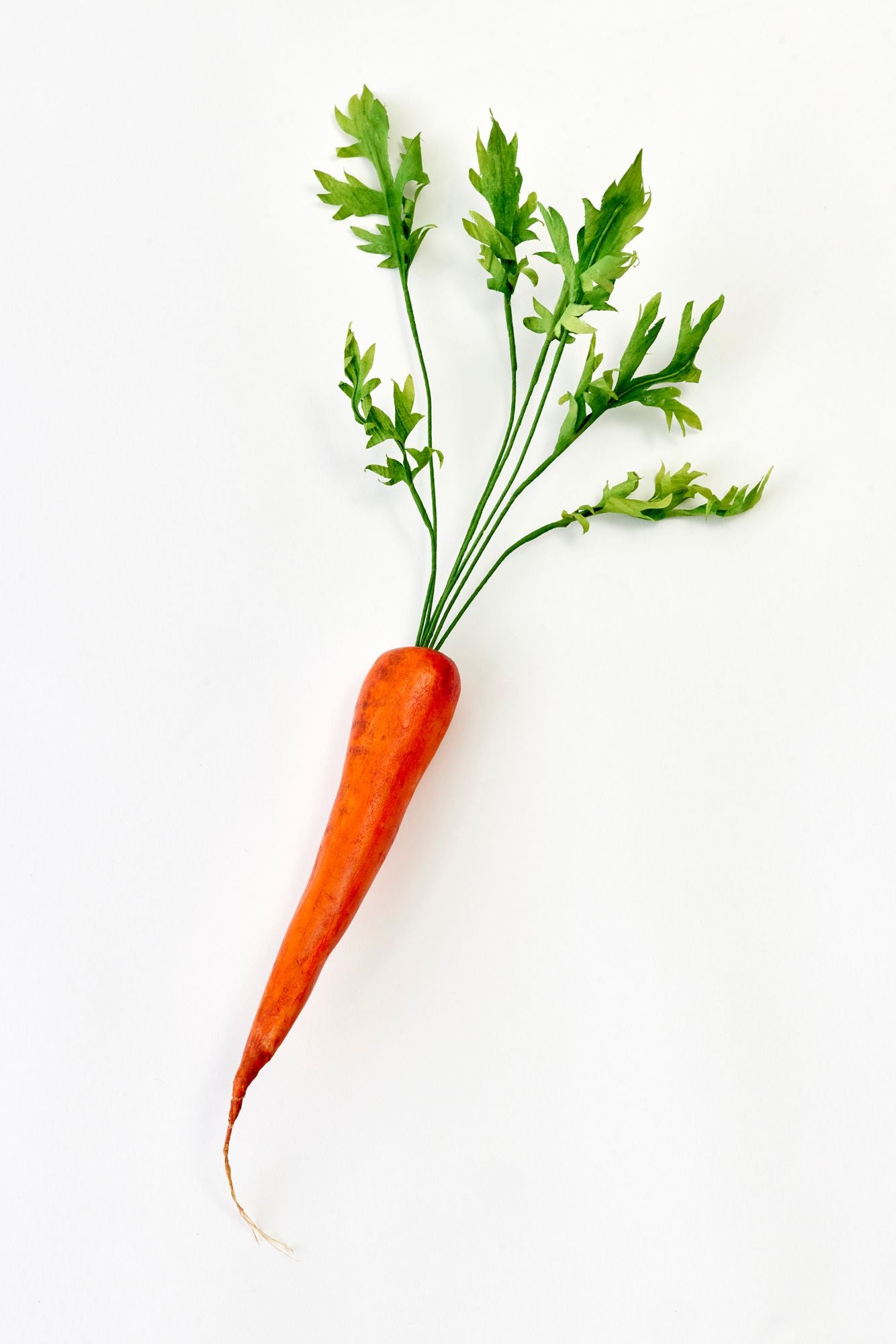 Carrot with green leaves on a white background