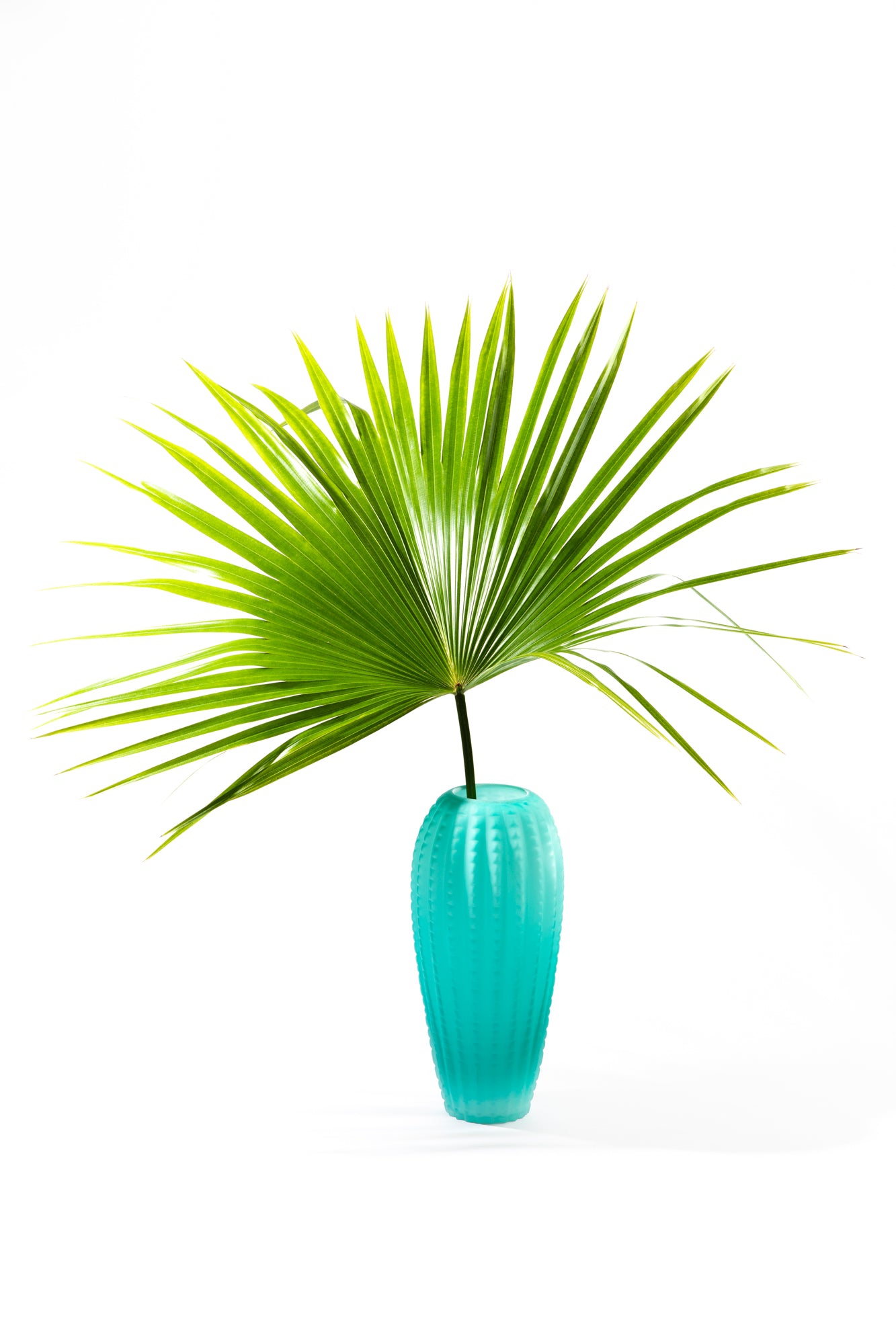 Blue vintage vase with single green palm frond against white background.