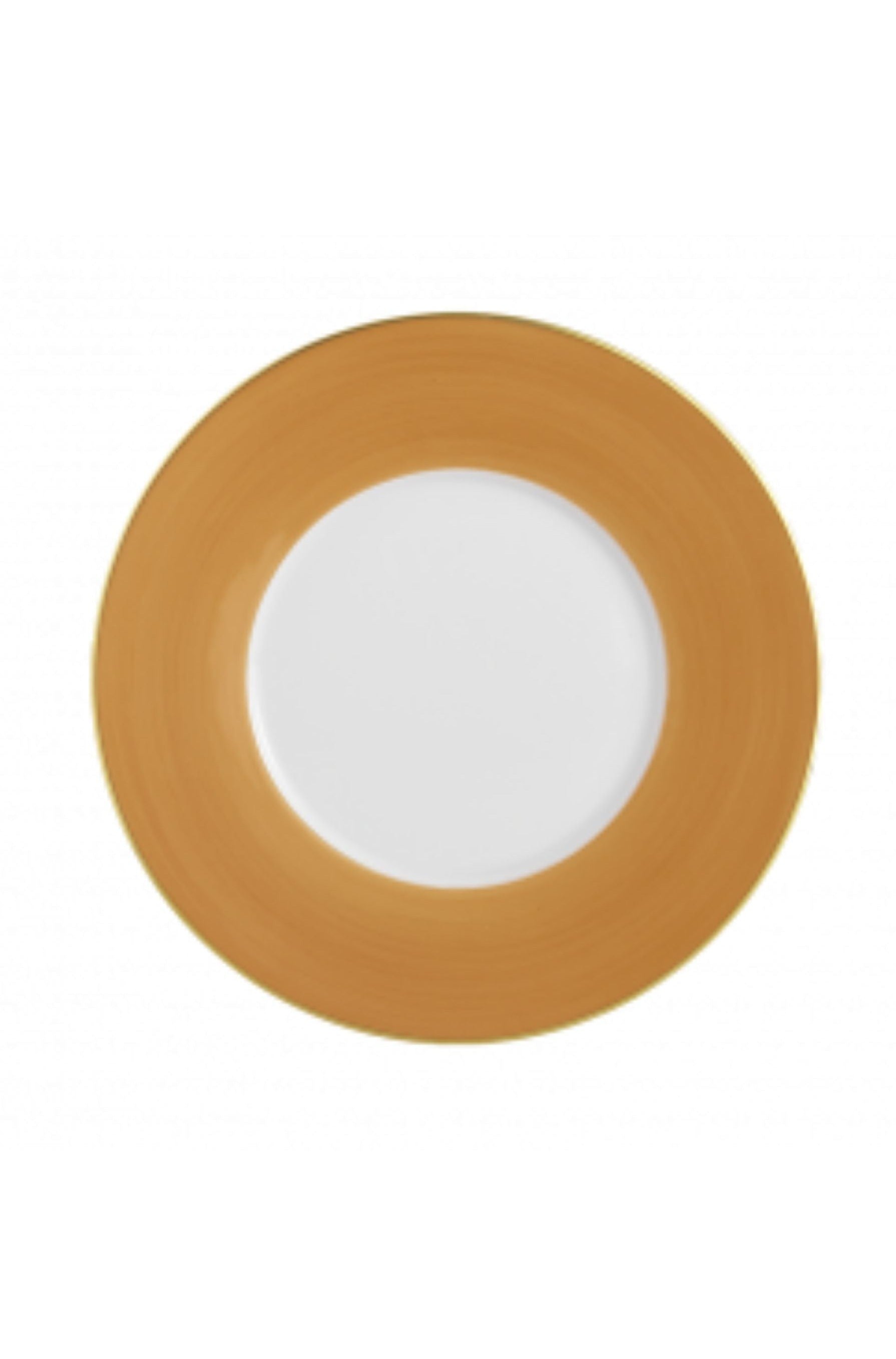 R. Haviland and C. Parlon presents Lexington dinnerware in Caramel: hand-painted and banded plates to complement a wide range of décor. Choose from over twenty radiant colors offered in Dinner plates, Dessert plates, Bread Butter plates, Presentation plates, mugs, and saucers.