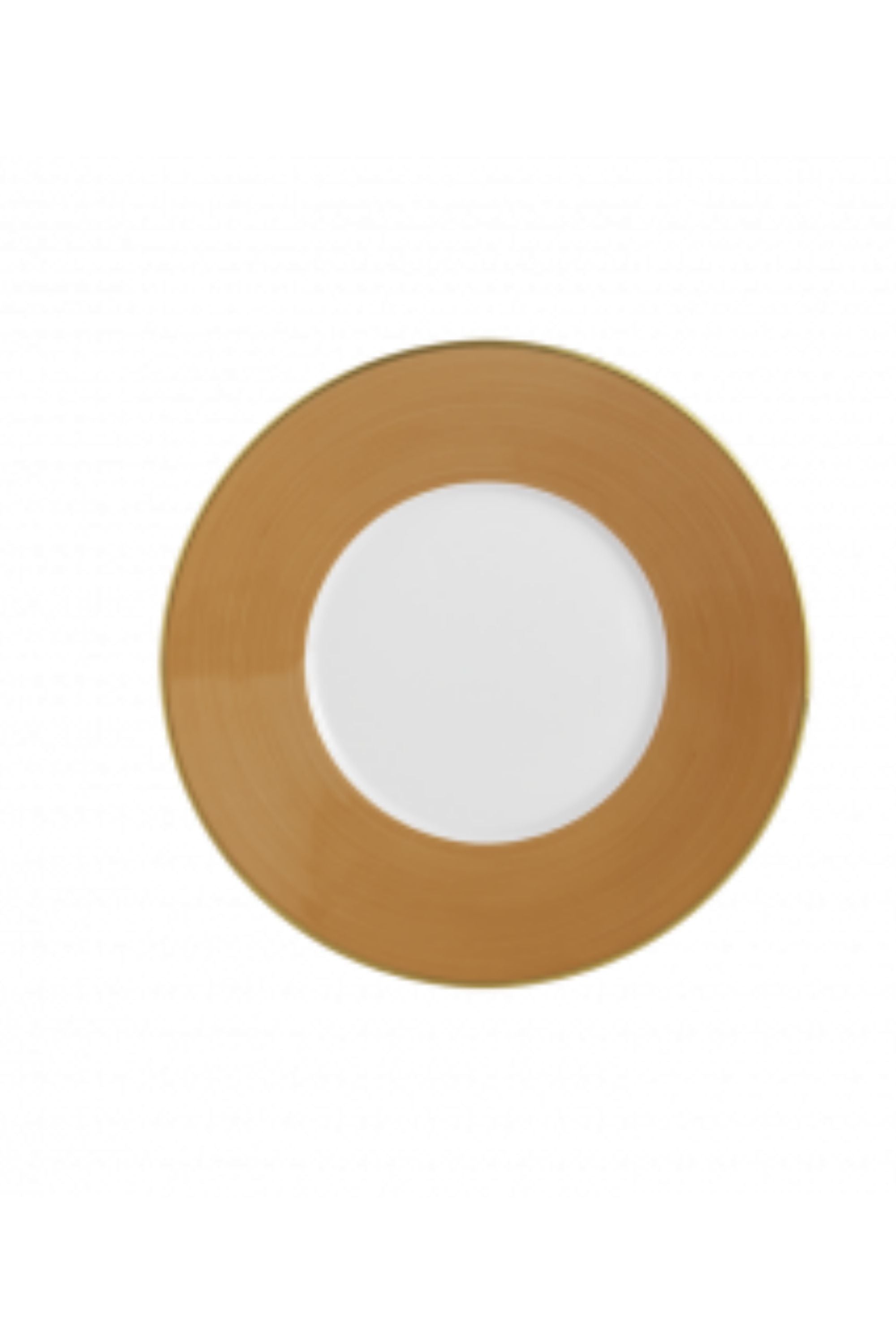 R. Haviland and C. Parlon presents Lexington dinnerware in Caramel: hand-painted and banded plates to complement a wide range of décor. Choose from over twenty radiant colors offered in Dinner plates, Dessert plates, Bread Butter plates, Presentation plates, mugs, and saucers.