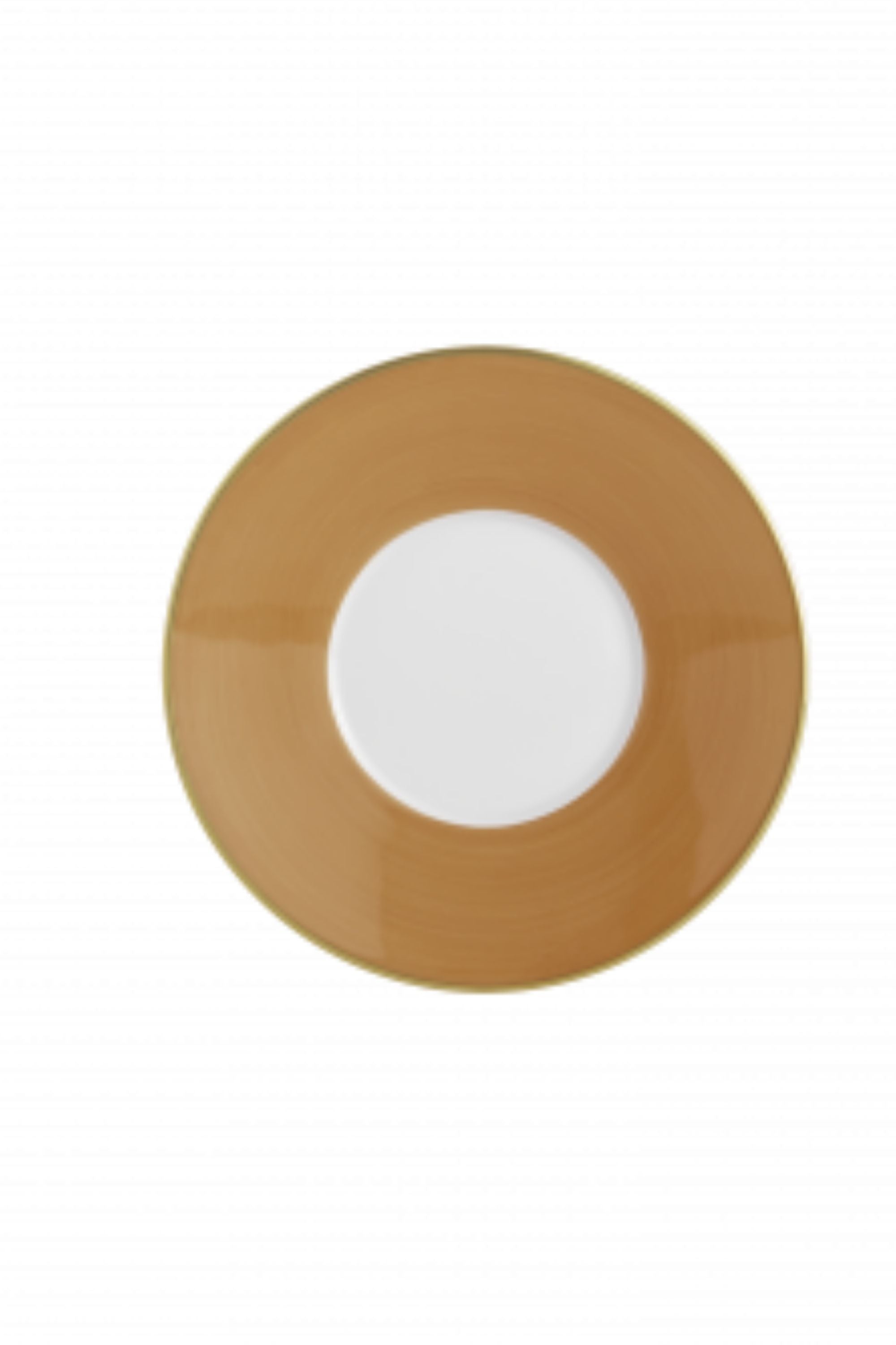 R. Haviland and C. Parlon presents Lexington dinnerware in Caramel: hand-painted and banded plates to complement a wide range of décor. Choose from over twenty radiant colors offered in Dinner plates, Dessert plates, Bread Butter plates, Presentation plates, mugs, and saucers.