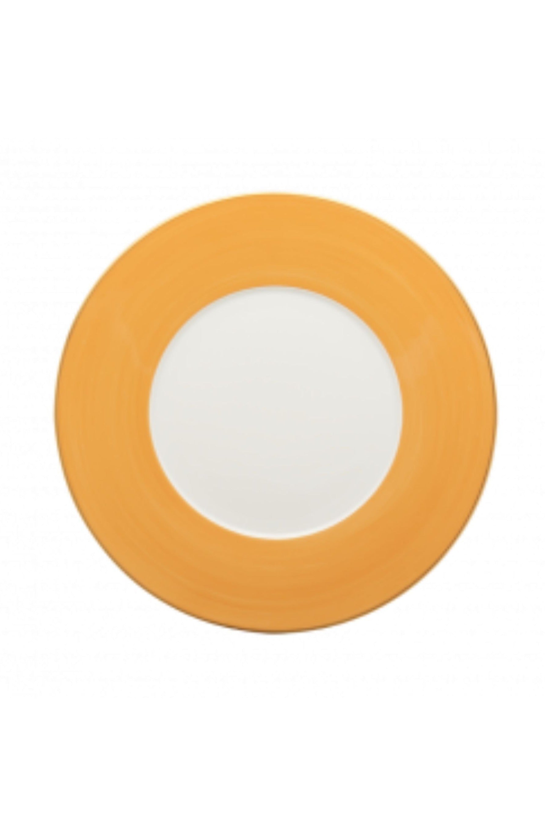 R. Haviland and C. Parlon presents Lexington dinnerware in Sud Yellow: hand-painted and banded plates to complement a wide range of décor. Choose from over twenty radiant colors offered in Dinner plates, Dessert plates, Bread Butter plates, Presentation plates, mugs, and saucers.