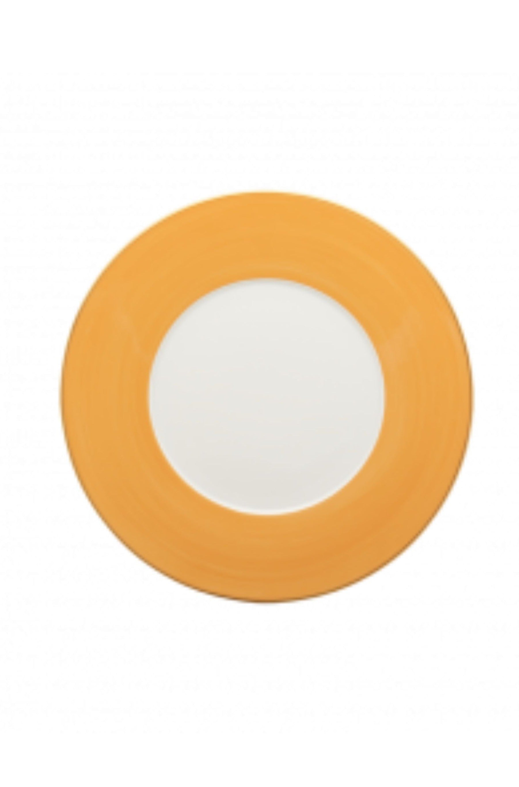 R. Haviland and C. Parlon presents Lexington dinnerware in Sud Yellow: hand-painted and banded plates to complement a wide range of décor. Choose from over twenty radiant colors offered in Dinner plates, Dessert plates, Bread Butter plates, Presentation plates, mugs, and saucers.