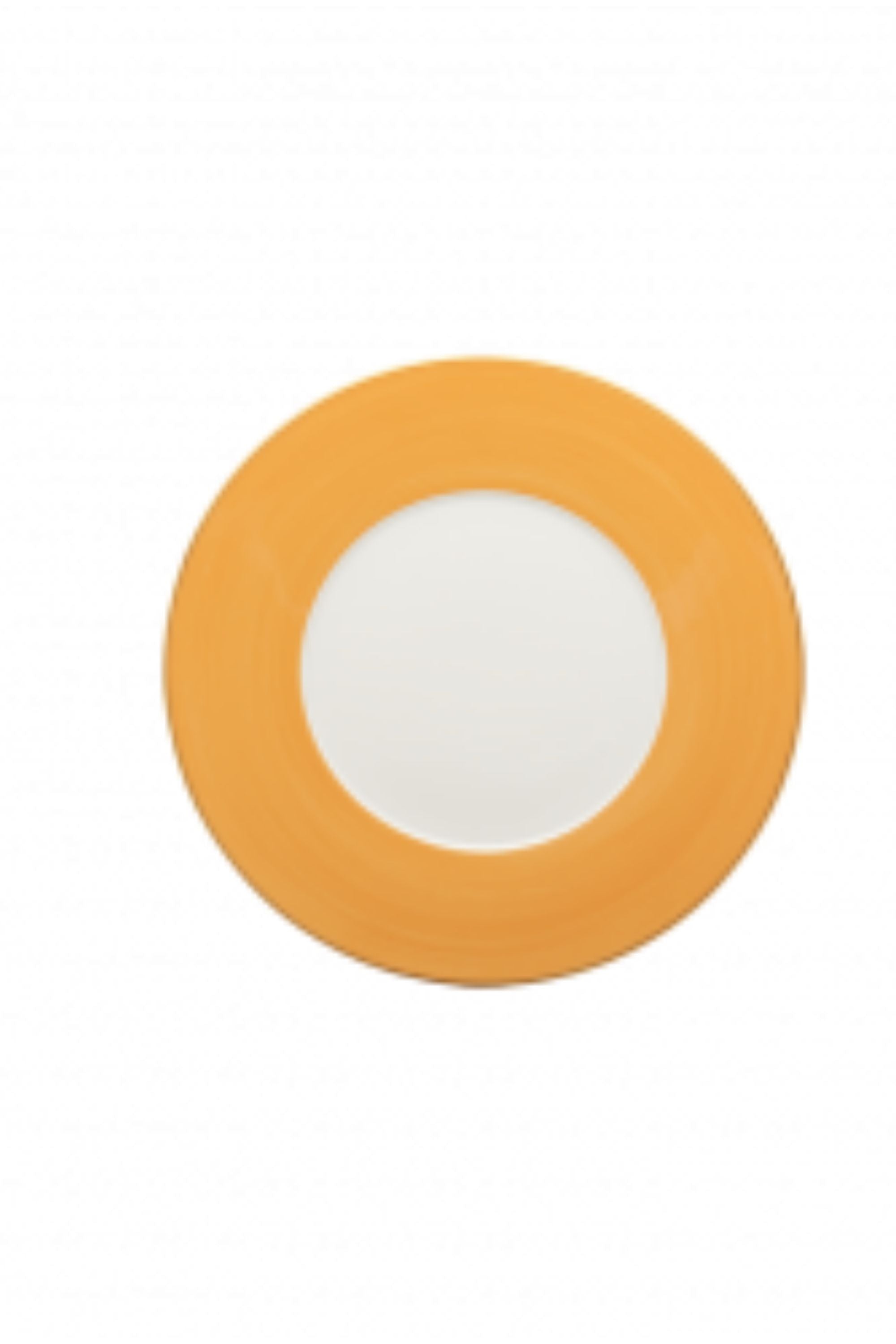 R. Haviland and C. Parlon presents Lexington dinnerware in Sud Yellow: hand-painted and banded plates to complement a wide range of décor. Choose from over twenty radiant colors offered in Dinner plates, Dessert plates, Bread Butter plates, Presentation plates, mugs, and saucers.