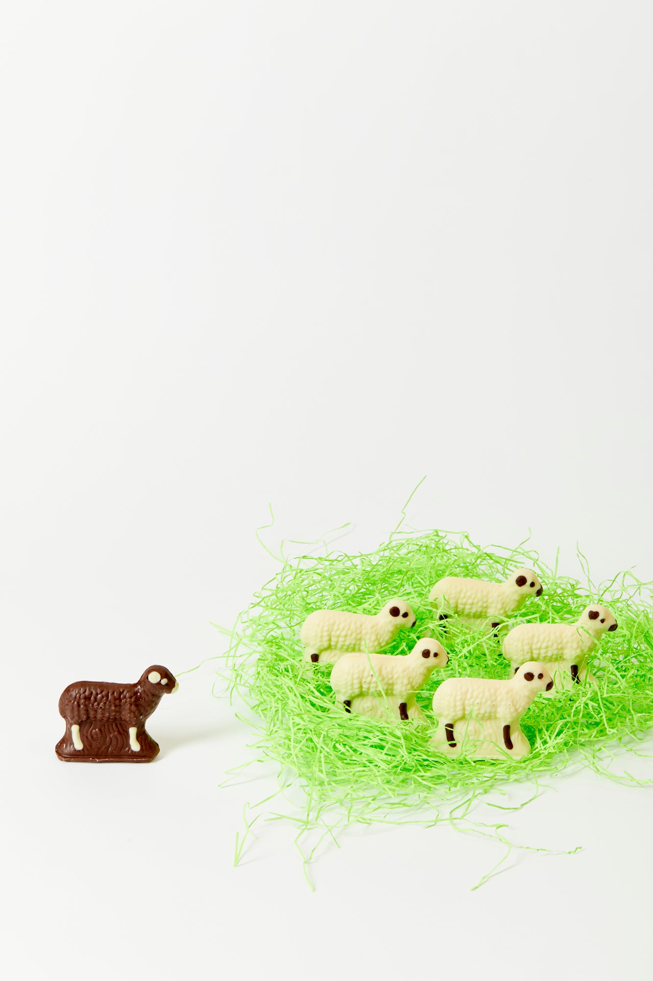 Flock of chocolate sheep.