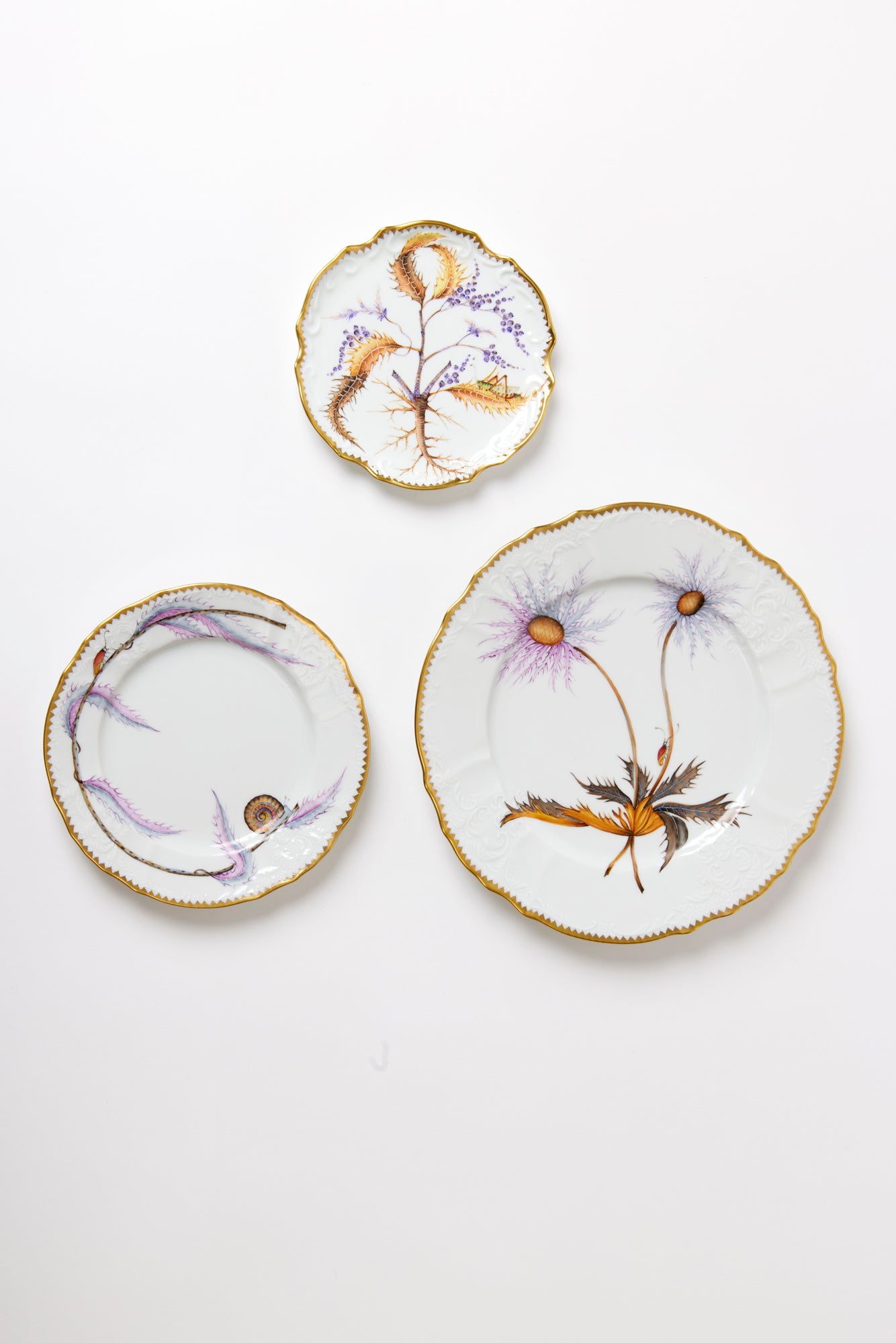 Fine porcelain plates, evocative of wild fairytale foliage from behind the castle wall.