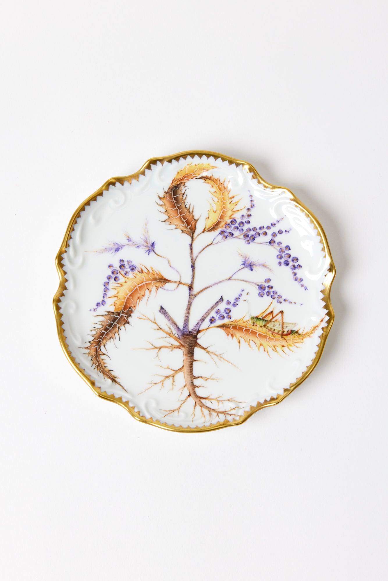 Fine porcelain plates, evocative of wild fairytale foliage from behind the castle wall.