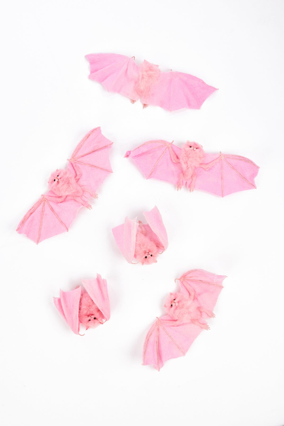 Set of six fuzzy pink bats scattered across a white backdrop, some cocooning, some with spread wings.