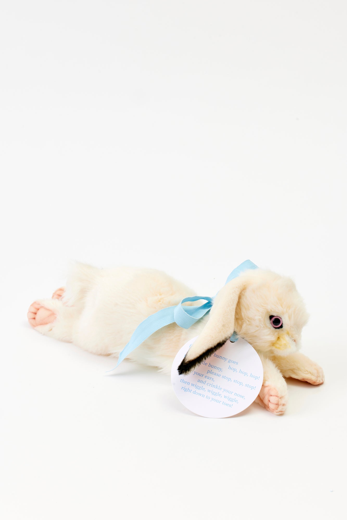 Stuffed bunny with blue ribbon.