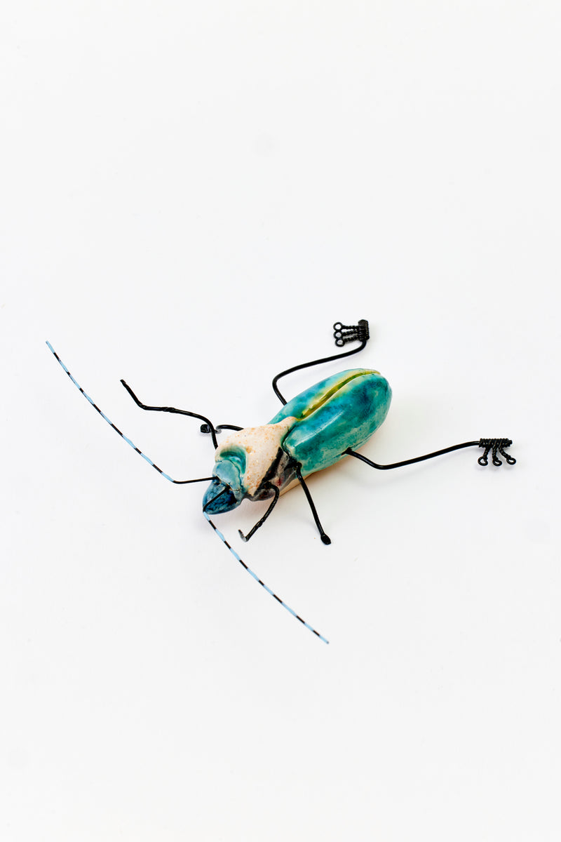 Ceramic Insect Designs CERAMIC INSECTS – Houses & Parties