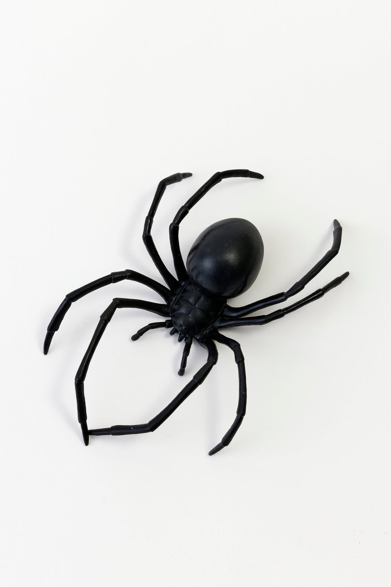 Black widow spider. Perfect for Halloween and spooky decorations.