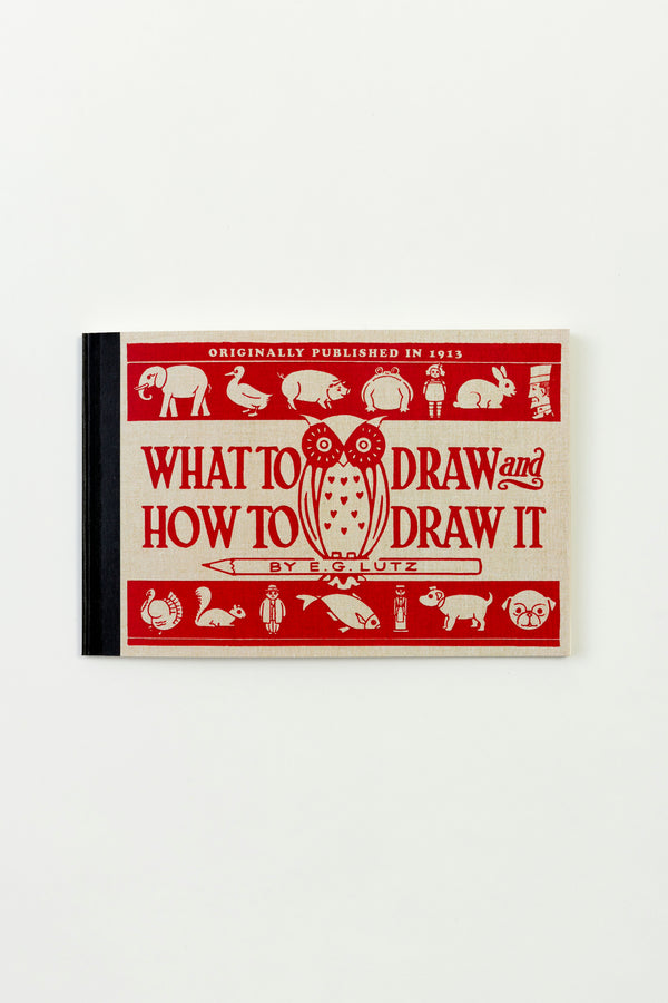 WHAT TO DRAW AND HOW TO DRAW IT