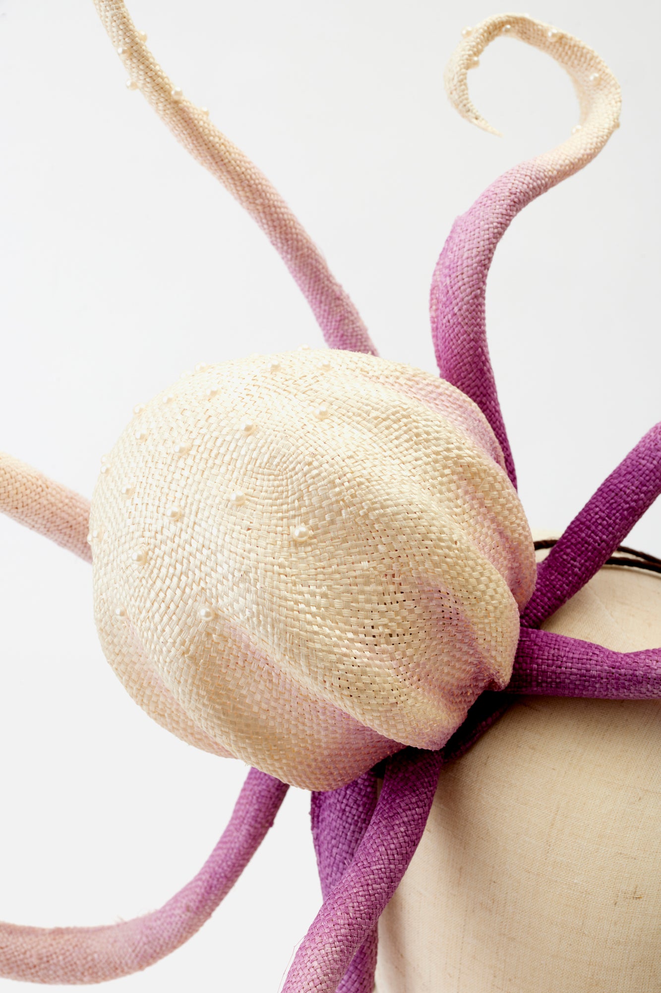 Octopus hat for a special occasion.