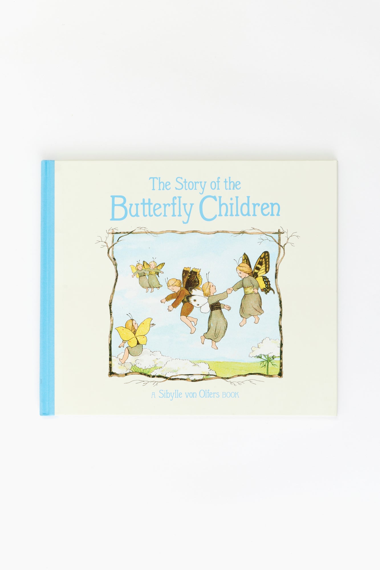 A children's book, The story of the Butterfly Children.