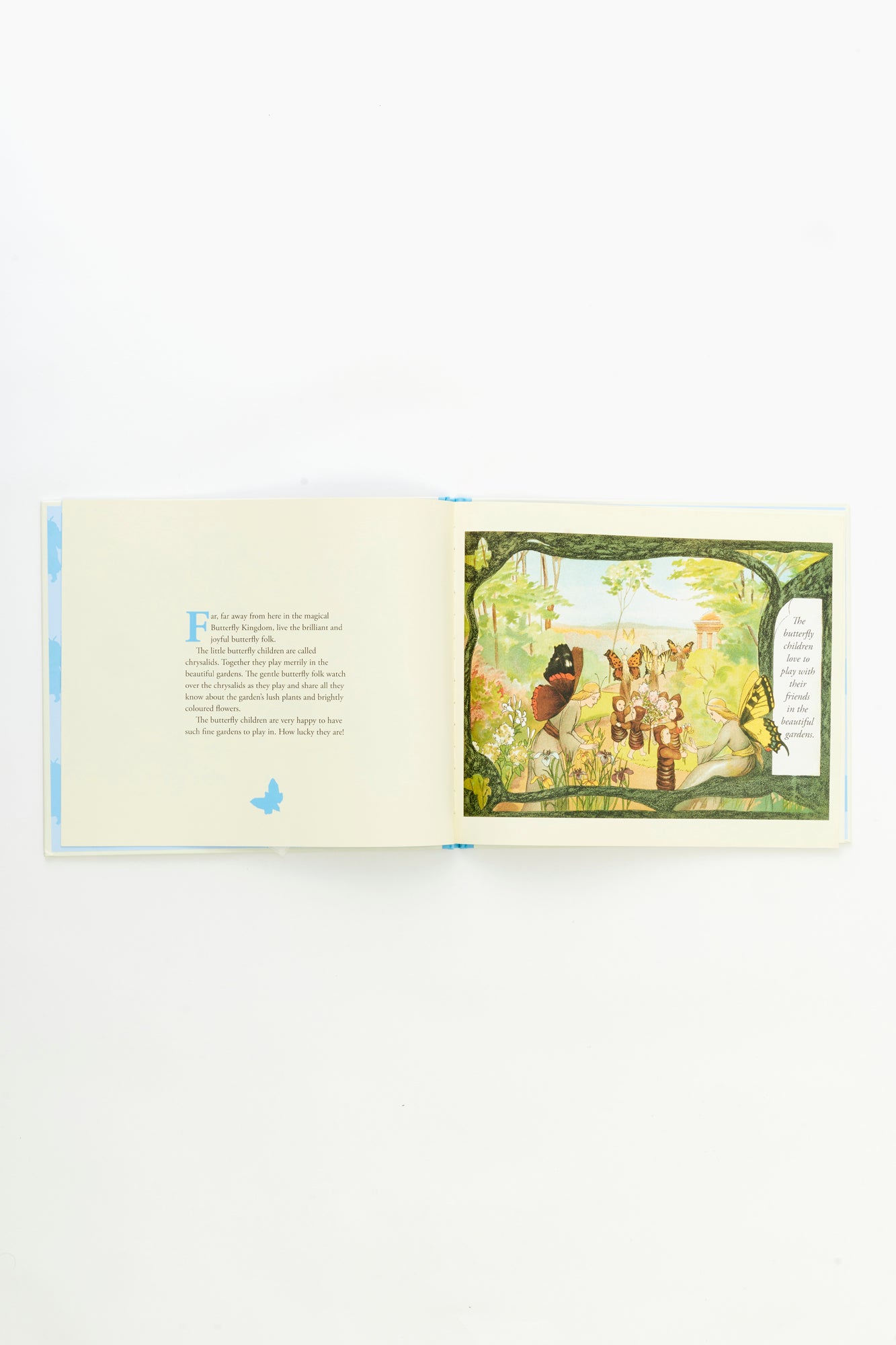 A children's book, The story of the Butterfly Children.