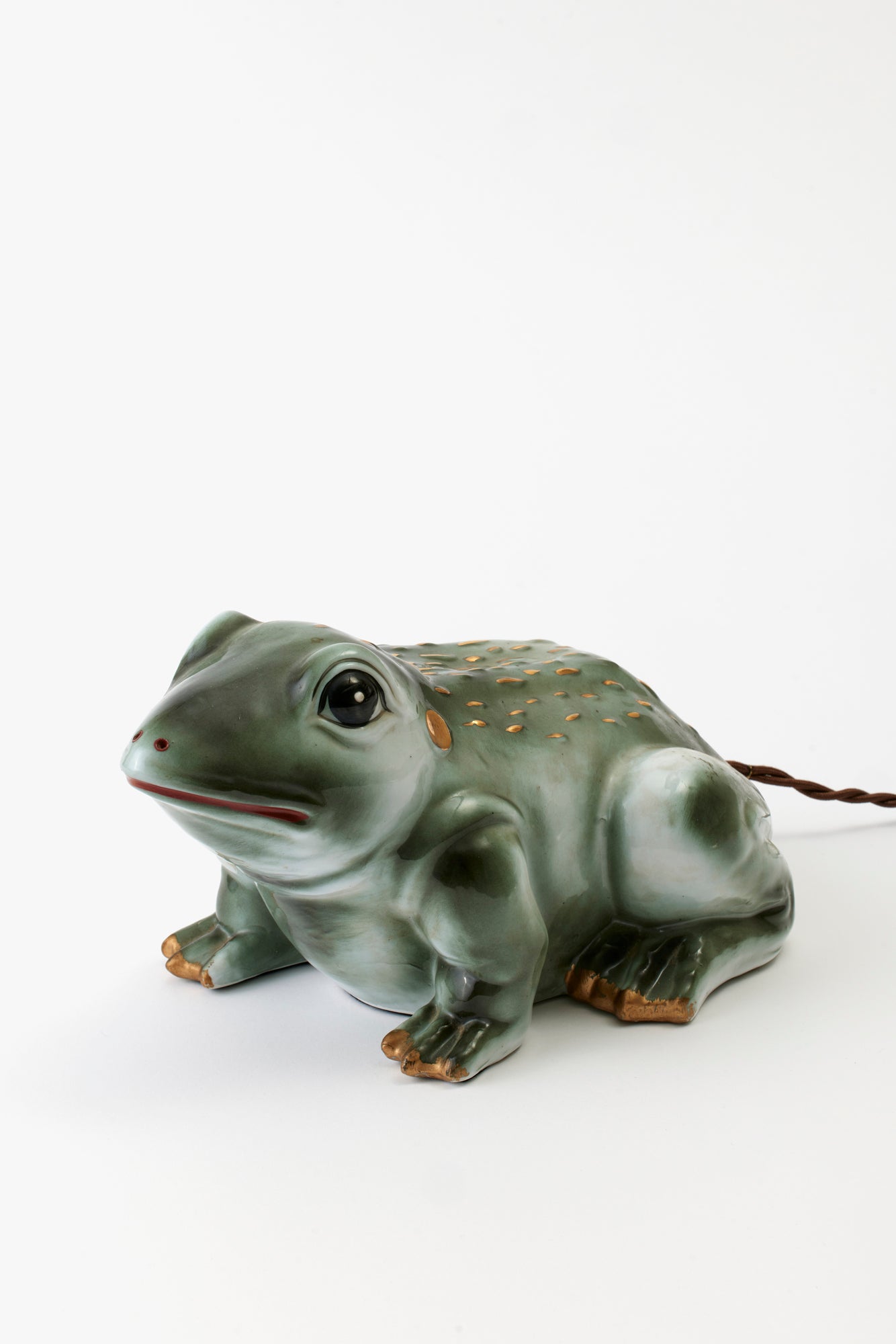 Charming ceramic frog table lamp.