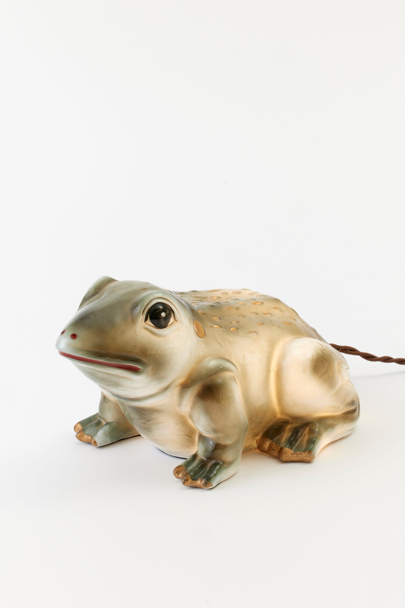 Charming frog table lamp.