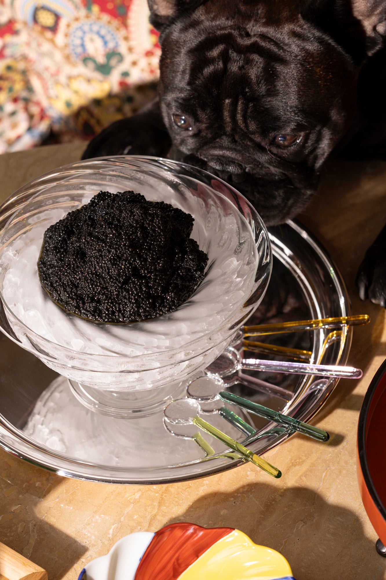 Party-sized artisanal twisted handblown glass caviar service, filled with black caviar and resting on a silver platter with glass caviar spoons. A black French bulldog is laying behind it with his nose touching the tip of the glass service. 