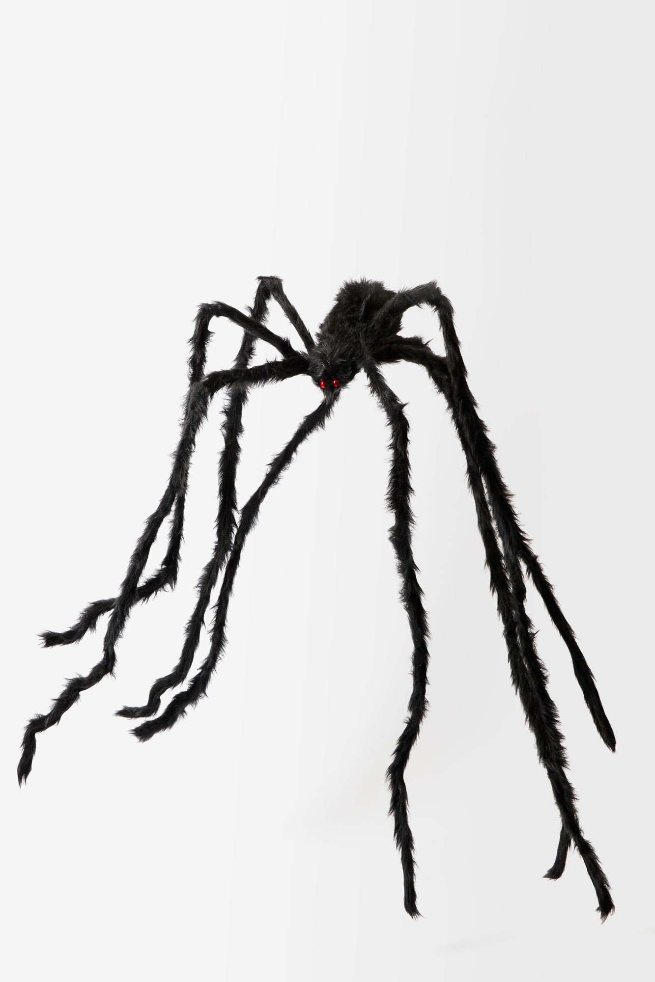 Giant spider with long legs for Halloween decorations.