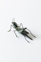 CERAMIC INSECTS