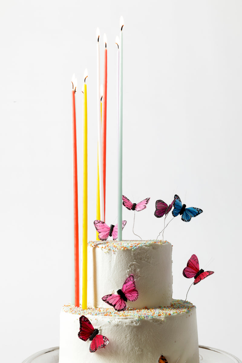 SET OF 12 TALL BIRTHDAY CAKE CANDLES