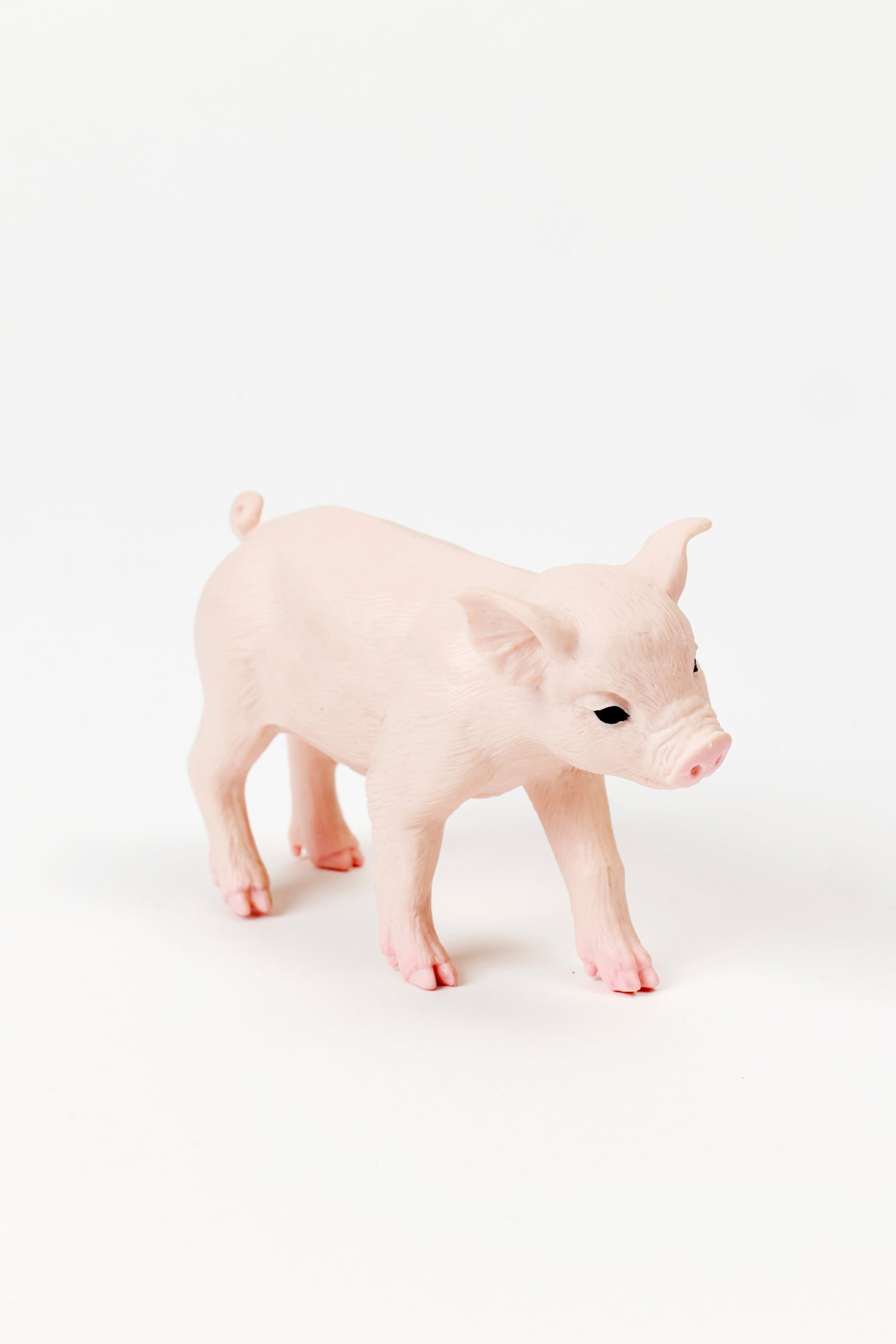 Small piglet toy figurine.