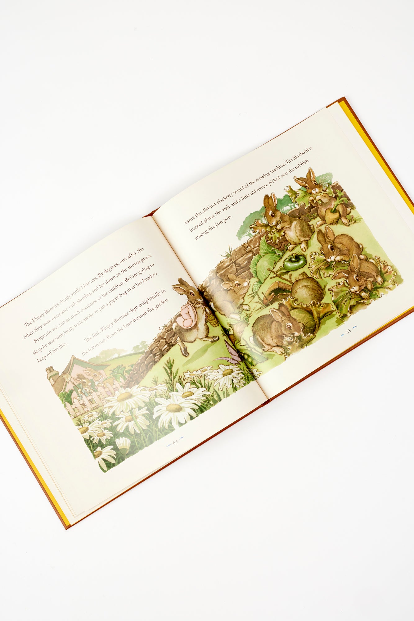 The Classic Tale of Peter Rabbit  is celebrated in this hand-bound leather classic edition. 