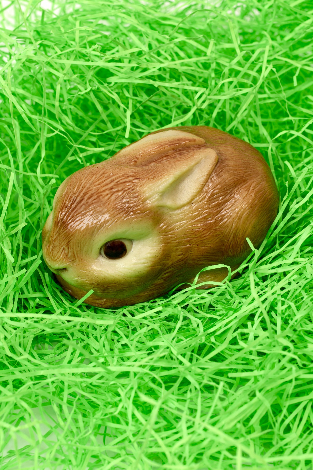 CHOCOLATE BABY BUNNY